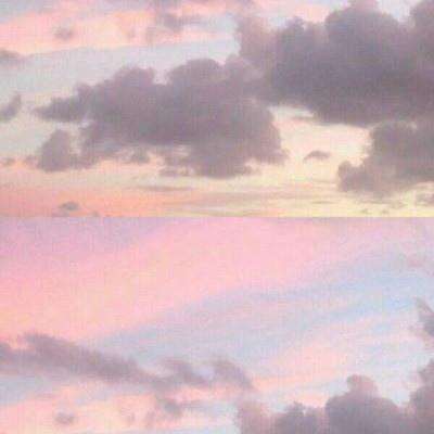 双彩网手机app下载